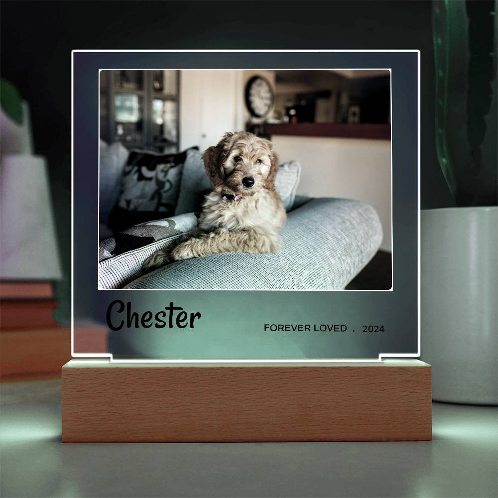 Light Up Pet Memorial Gift