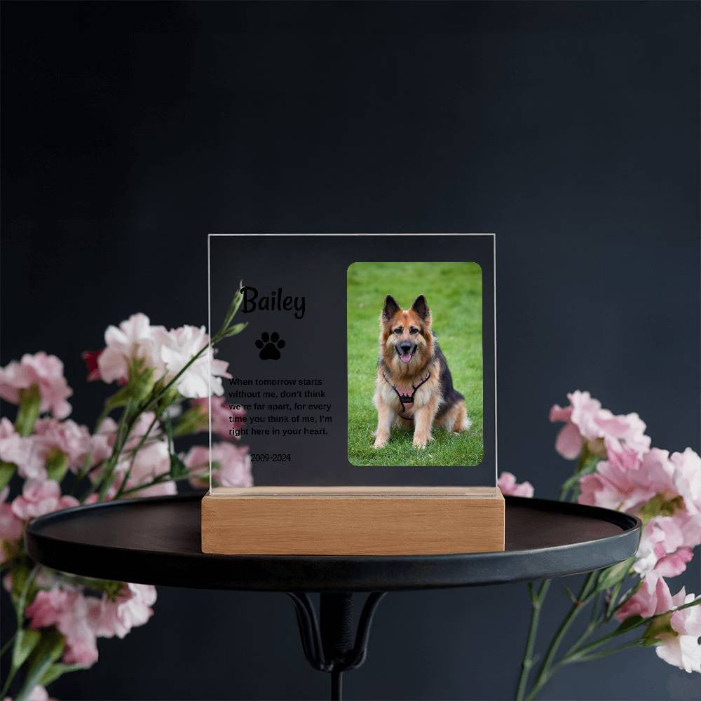Personalized Light Up Pet Memorial Plaque