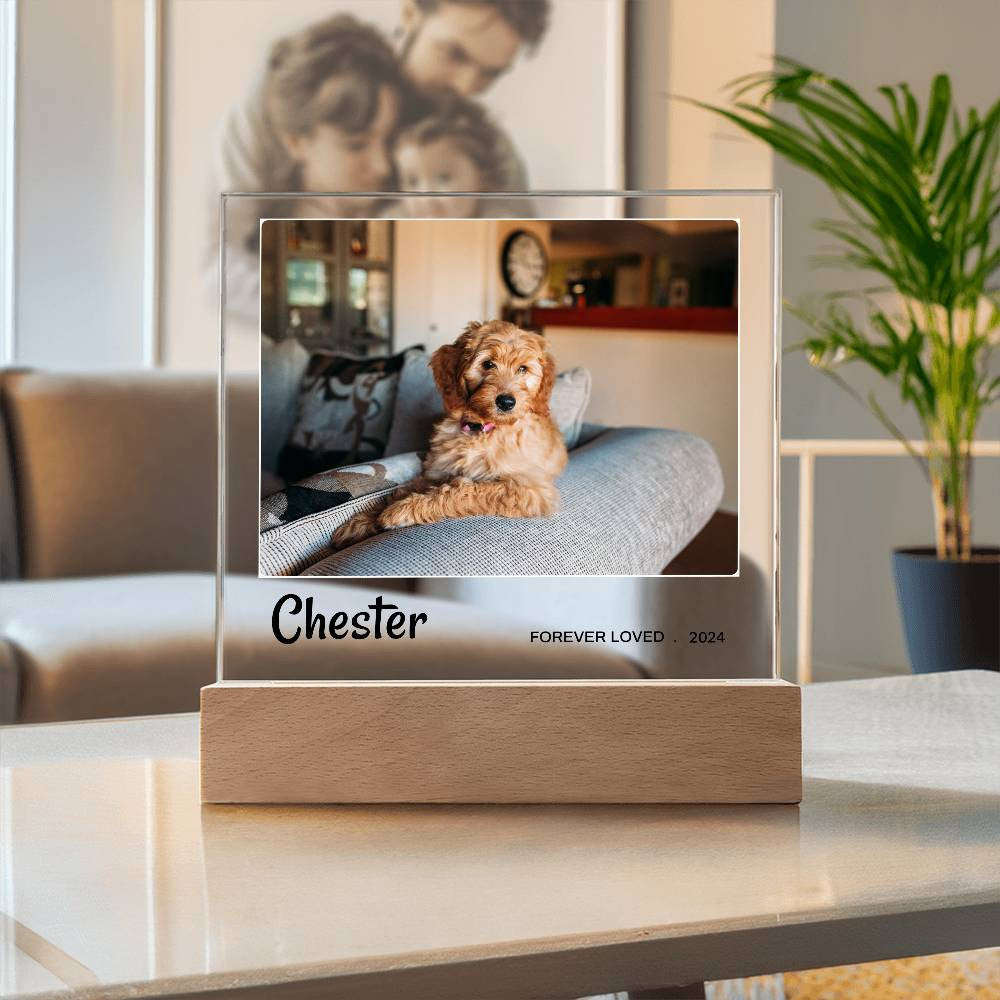 Light Up Pet Memorial Gift