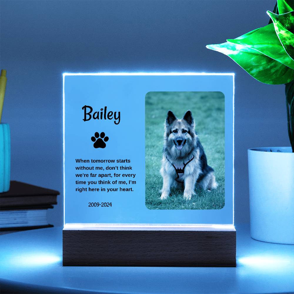 Personalized Light Up Pet Memorial Plaque
