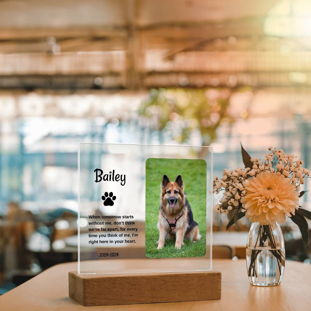 Personalized Light Up Pet Memorial Plaque