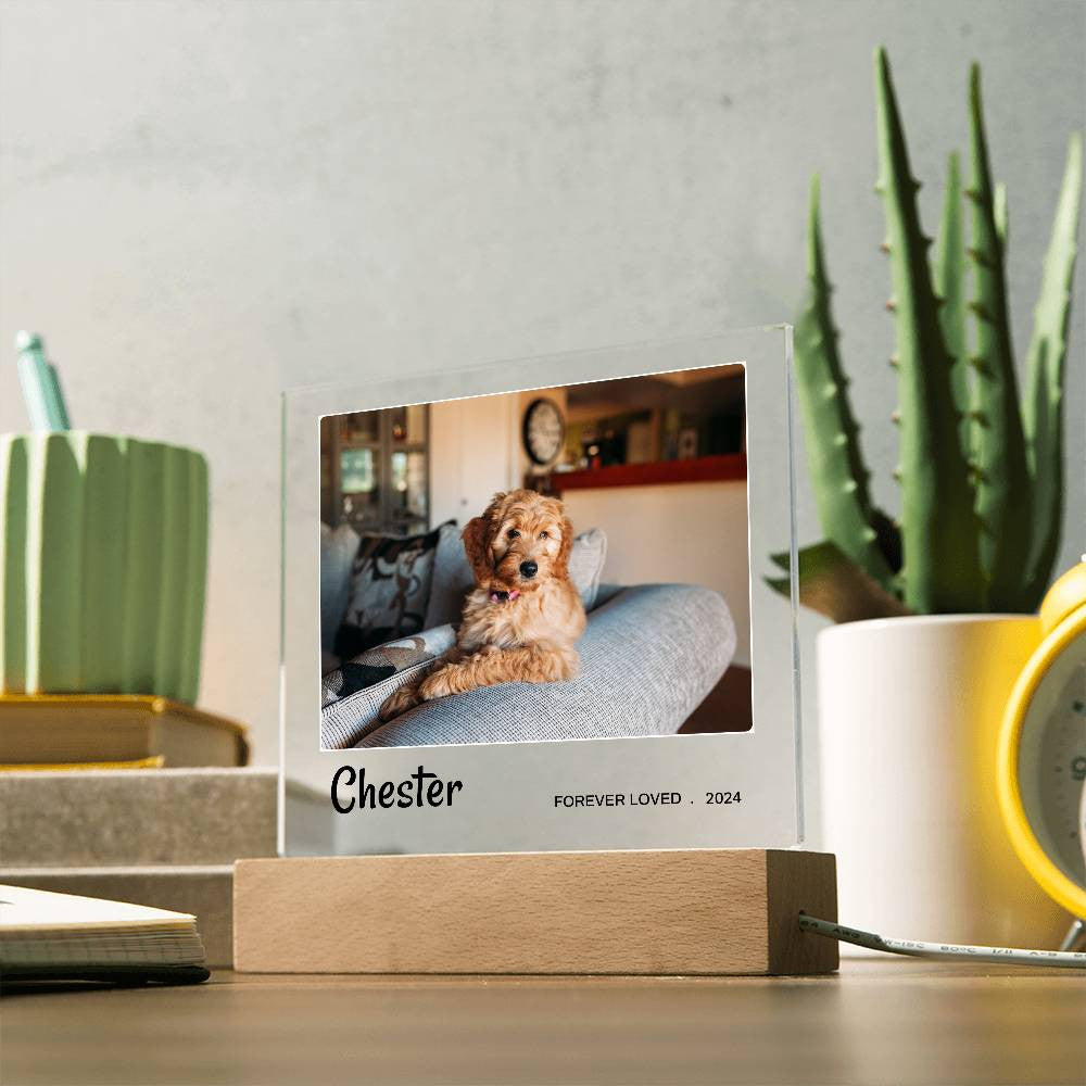 Light Up Pet Memorial Gift