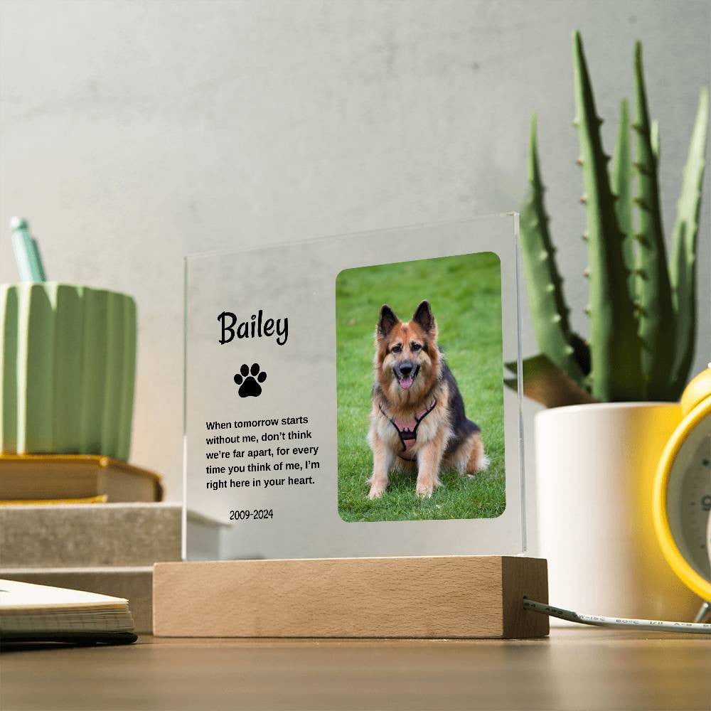 Personalized Light Up Pet Memorial Plaque
