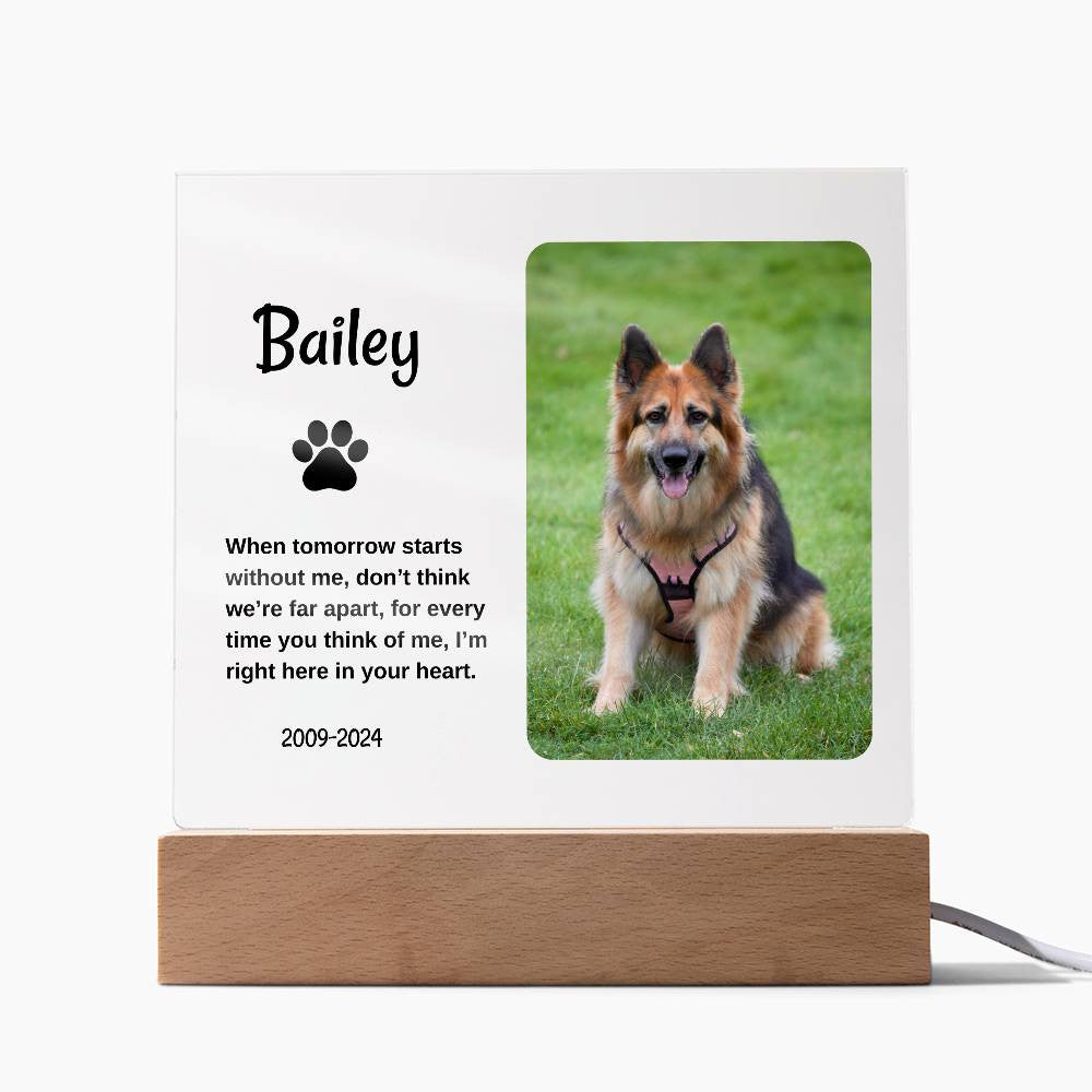 Personalized Light Up Pet Memorial Plaque