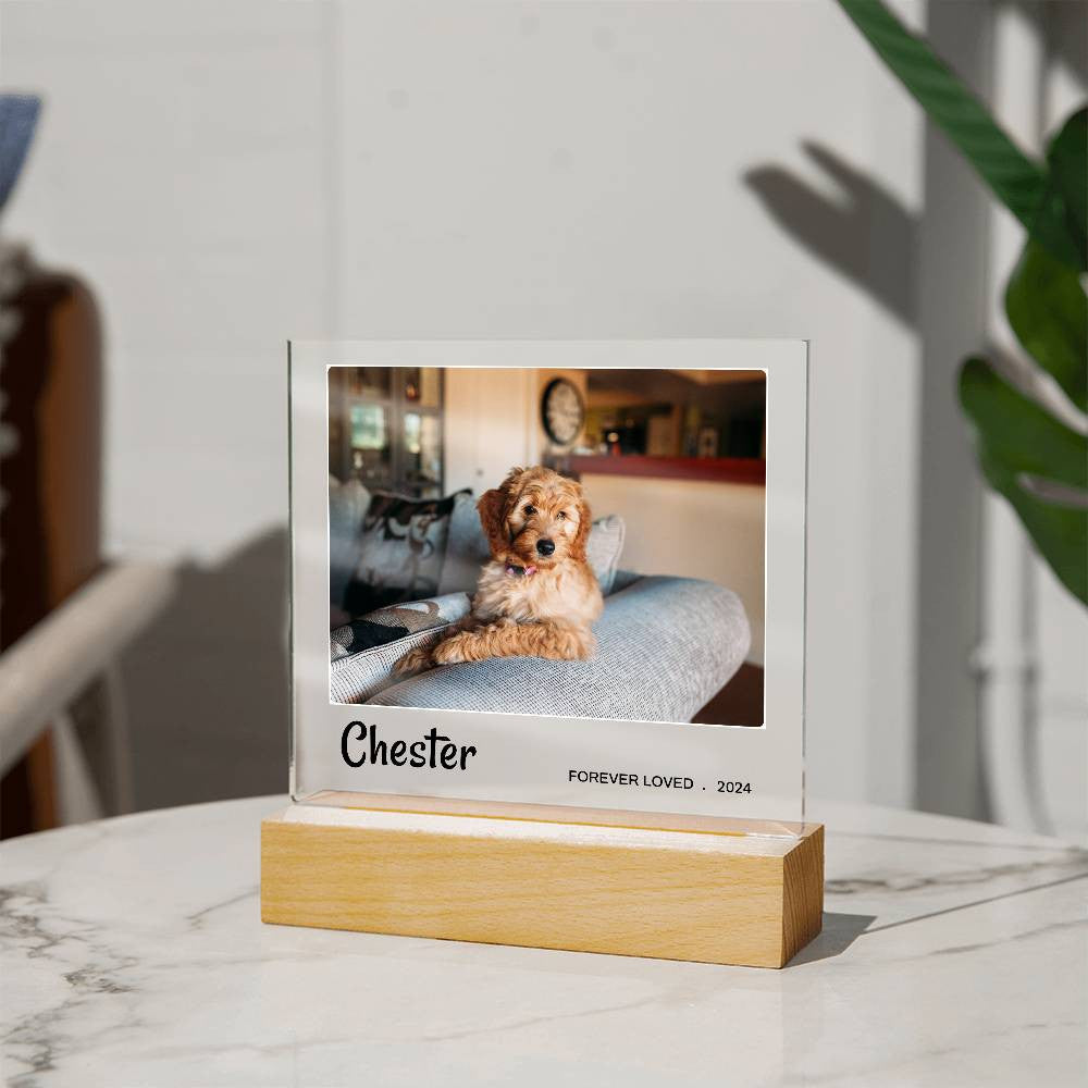 Light Up Pet Memorial Gift