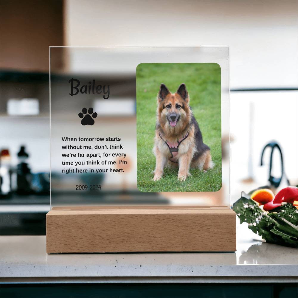 Personalized Light Up Pet Memorial Plaque