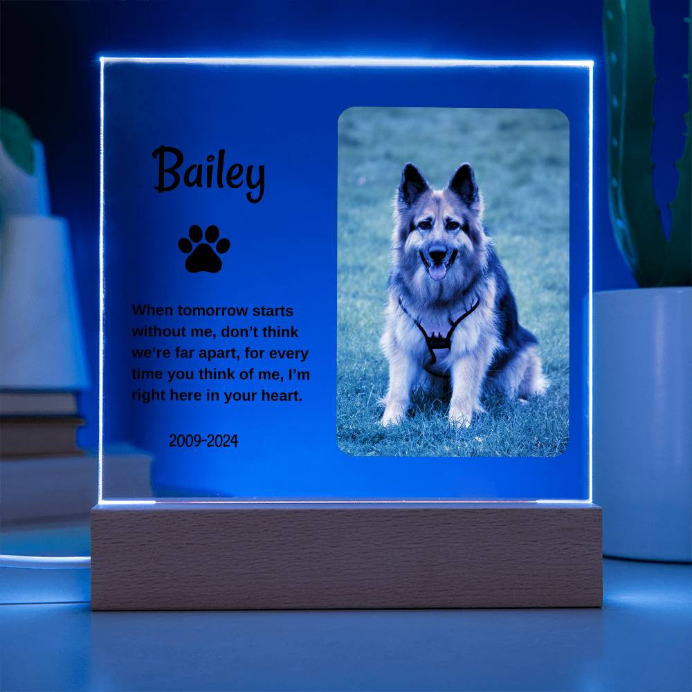 Personalized Light Up Pet Memorial Plaque