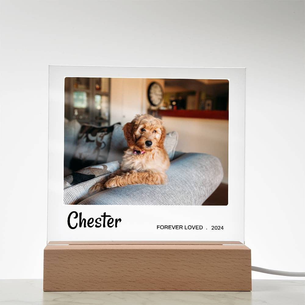 Light Up Pet Memorial Gift