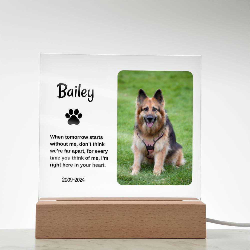Personalized Light Up Pet Memorial Plaque