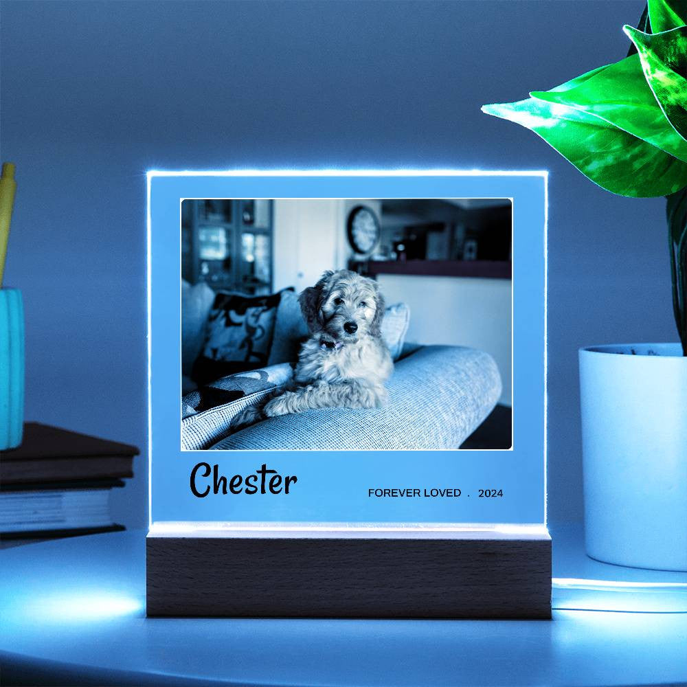 Light Up Pet Memorial Gift