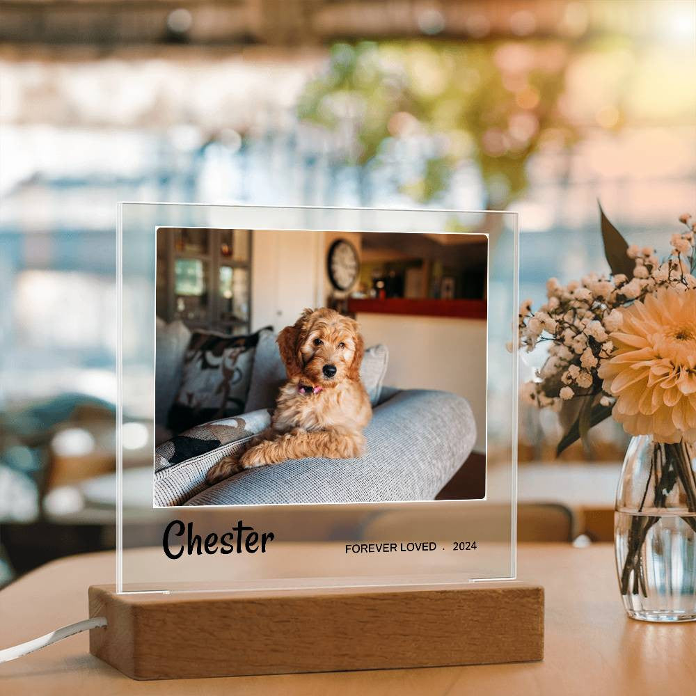 Light Up Pet Memorial Gift