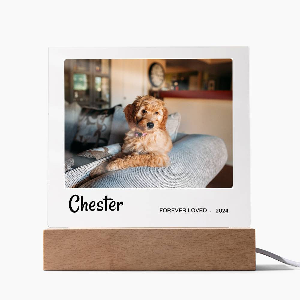 Light Up Pet Memorial Gift