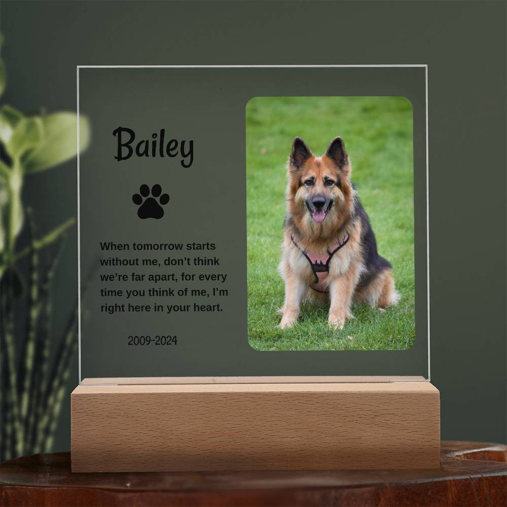 Personalized Light Up Pet Memorial Plaque