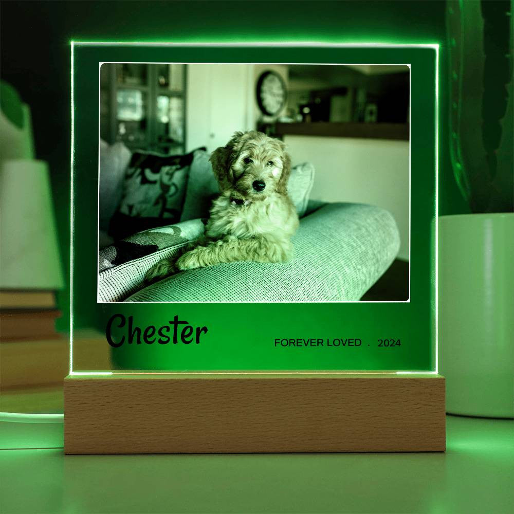 Light Up Pet Memorial Gift
