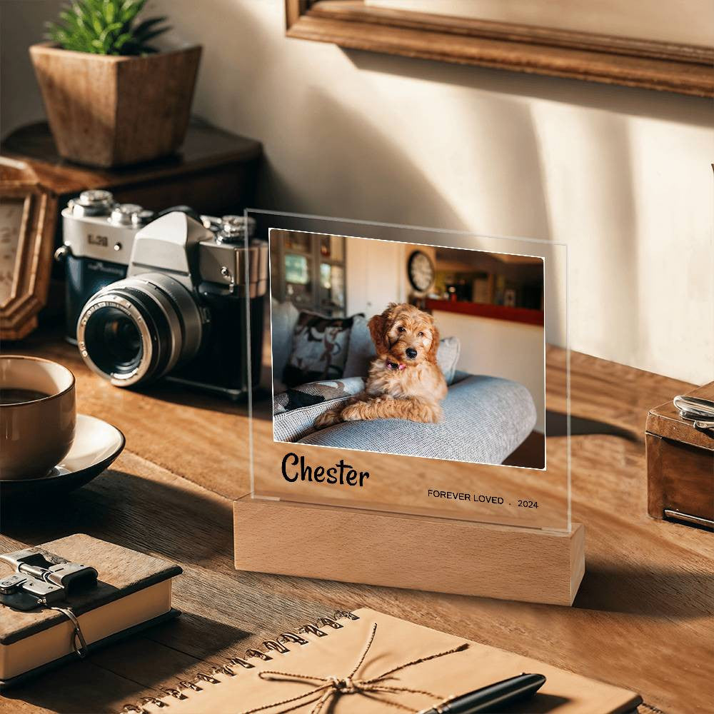 Light Up Pet Memorial Gift